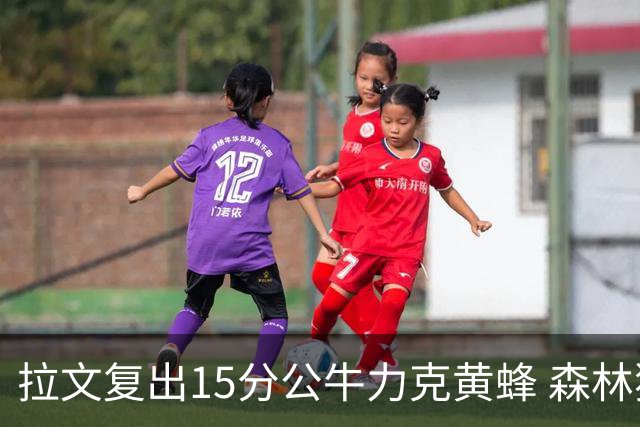 拉文复出15分公牛力克黄蜂 森林狼大胜火箭
